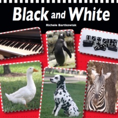 Black and White Board Book