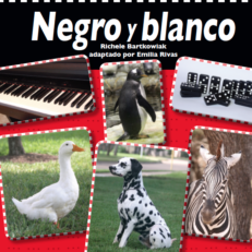 Negro y blanco Board Book