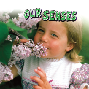 Our Senses Small Book