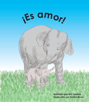 Es amor Small Book