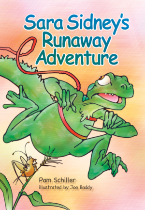 Sara Sidney's Runaway Adventure Big Book